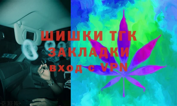 гашик Белоозёрский