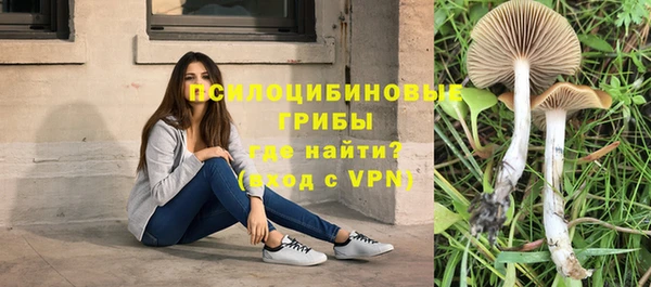 гашик Белоозёрский
