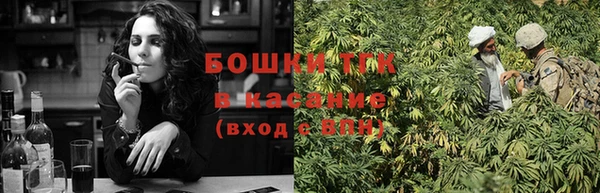 гашик Белоозёрский