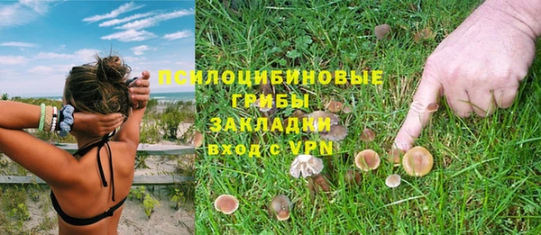 гашик Белоозёрский