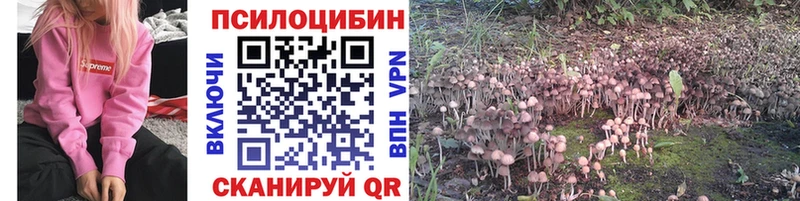 Галлюциногенные грибы Psilocybe  Острогожск 